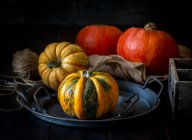 Autumn pumpkins on a dark background. — Stock Photo
