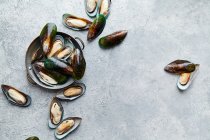 Close-up shot of Raw kiwi mussels in copper plate - foto de stock