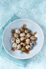 Fresh quail eggs in bowl with feathers — Stock Photo