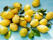 Primo piano di deliziosi limoni amalfitani — Foto stock