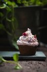 Веганська шоколадна чашка торти з малиновим кремом, сушеними квітами та цукровими зморшками — стокове фото