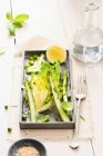 Листя салату зі спаржею і горошком — стокове фото