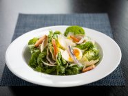 Salat mit Lachs und Käse auf einem Teller — Stockfoto