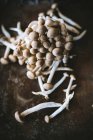 Крупным планом кучу сушеных грибов в миске над деревянным столом — стоковое фото