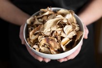 Cropped shot of person holding bowl of dried mushrooms — Stock Photo