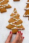 Close-up shot of delicious Gingerbread cookies — Stock Photo