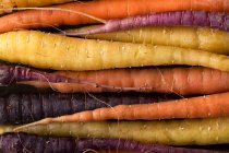 Varie carote, radici arancioni, gialle e viola, primo piano colpo — Foto stock