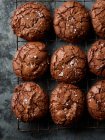 Biscotti brownie con briciole di sale su scaffale di raffreddamento — Foto stock