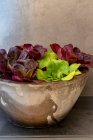 Различные салаты в каменной чаше — стоковое фото