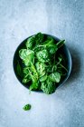Una ciotola di spinaci freschi — Foto stock