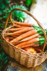 Fresh carrots in basket — Stock Photo
