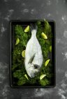 Fresh sea bass with fennel and limes — Fotografia de Stock