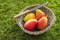 Four pears on a basket on green grass with knife — Stock Photo