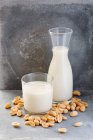 Jug and glass of nut milk and peanuts on stone background — Stock Photo