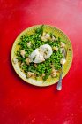 Gros plan sur la salade de pois Buratta — Photo de stock