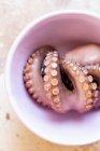 Close-up shot of raw Octopus in bowl — Stock Photo