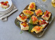 Nahaufnahme von leckeren Sandwiches mit gegrillten Tomaten — Stockfoto
