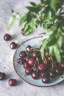 Fresh wet cherries on ceramic plate and green leaves on foreground — Stock Photo