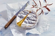 Pane fatto in casa con formaggio e noci su sfondo bianco — Foto stock
