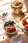 Granola muesli with yoghurt and berries in bowl — Stock Photo
