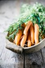 Морква з зеленими стеблами в дерев'яній мисці — стокове фото