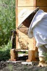 Female bee keeper watching hive activity — Stock Photo