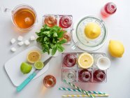 Чай со льдом и фруктовым льдом с ингредиентами — стоковое фото