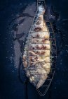 A grilled bream close-up view — Stock Photo