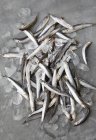 Primo piano di sardine crude su grigio — Foto stock