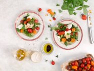 Tomato and mozzarella salad — Stock Photo