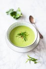 Vegan spinach cream soup with silk tofu — Stock Photo