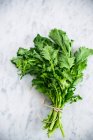 Close-up shot of delicious Broccoletto, bundled — Stock Photo