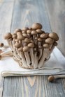 Close-up de delicioso Shimeji (cogumelos asiáticos) — Fotografia de Stock