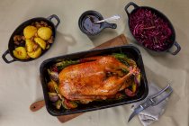 Roast goose with red cabbage and potato dumplings — Stock Photo