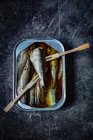 Sardines in a tin with wooden forks — Stock Photo