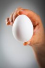 Nahaufnahme einer Hand, die ein weißes Ei hält — Stockfoto