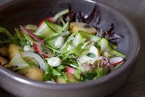 Ensalada de jardín de verano con patatas, rábano, habas, calabacines y cebolla roja - foto de stock