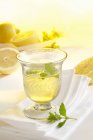 Glass of homemade limoncello with fresh lemons on background — Stock Photo