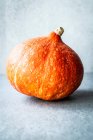 Calabazas naranjas frescas maduras sobre un fondo gris. - foto de stock