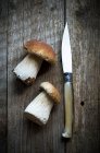 Two wild Porcini mushrooms on a wooden board with a horn handeled foraging knife from Sardinia — Stock Photo