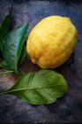 Close-up shot of delicious lemon and lemon leaves — Stock Photo
