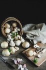 Close-up shot of delicious Mushrooms champignon on the wood table — Stock Photo