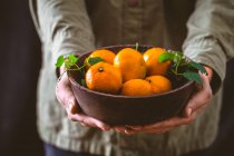 Close-up shot of delicious Hands holding a bowl of tangerines — Stock Photo