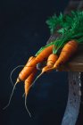 Молодая морковь с остатками почвы на деревянном столе — стоковое фото