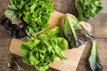 Two different lettuces on the table — Foto stock
