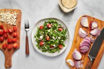 Салат из рукколы с красным луком, виноградные помидоры, сыр фета и заправка в банку — стоковое фото