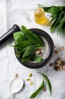 Ingredientes para pesto de ajo silvestre (ajo silvestre, sal marina, pistachos y aceite)) - foto de stock