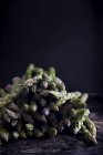 Espargos verdes frescos sobre fundo preto — Fotografia de Stock