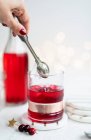 Christmas dessert with red currant and cranberry sauce — Stock Photo