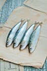 Quatre sardines fraîches sur papier à carreaux — Photo de stock